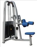 Fitness Equipment / Gym Equipment / Lateral Raise (SM07)
