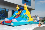 New Kangaroo Design Inflatable Slide