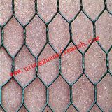 PVC Coated Chicken Wire Mesh /Hexagonal Wire Netting (QG27)