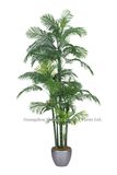 Artificial Bonsai Hawaii Kwai Tree