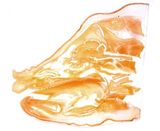 Head of Pig with Median Sagittal Cut (HOFFEN-Z10)