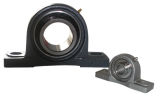 SGS Approved High Quality Hot Sale Pillow Block Bearing/ Bearing Housing (P214)