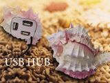 Whelk Hub