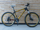 Mountain Bicycle with Hydraulic Disc Brake