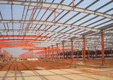 Steel Structure Workshop/Warehouse/Building