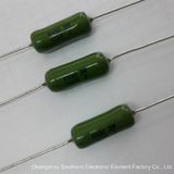 Rxg1 Type Enamel Wire Wound Variable Resistor with RoHS