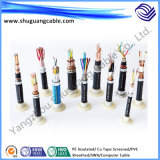Fireproof/Fire Resistant/XLPE/PE/PVC/Armored/Screened/Instrument Computer Cable