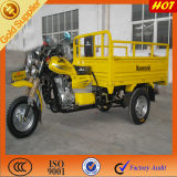 China New 150cc Farming Cargo Tricycle