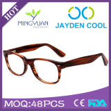 2015 May Latest Style Acetate Optical Frame Ready Stock Eyewear