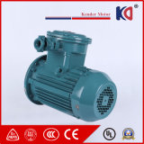 High-Speed Explosion Proof Electric AC Motor for Conveyor
