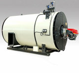 Wns Gas Fired Hot Water Boiler
