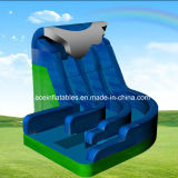New Ocean Curve Inflatable Water Slide with Pool