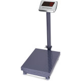 0.1g Digital Platform Weighing Apparatus (DH~weighing)