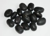 Black Kidney Bean (003)