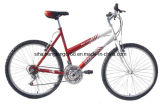 Red Lady Mountain Bicycle with Best Price (SH-MTB219)