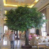 Artificiail Ficus Tree Ancient Banyan Tree Use Indoor Underground Mall