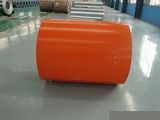 Color Coated Steel Coil