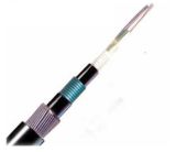 Fiber Optic Cable for Underwater (GYTA5333)