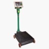 Electroic and Mechanical Platform Scale (TGS)