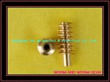 High Precision Brass Worm Gear