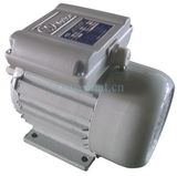 1-Phase Induction Motor
