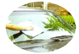 Car Cleaning Towel (Boli-57)
