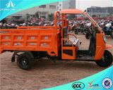 2014 Fashionable China Motorized Three Wheeler with Shed for Cargo (ZL175ZH-2)