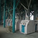 Multifunctional Cereal Grain Wheat Flour Mill (6FTF series)