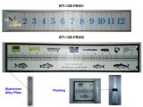 PVC fishing ruler