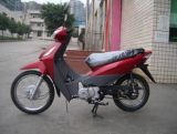 Cub Motorcycle (KS110-5)