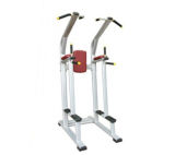 Fitness Equipment Gym Equipment Vertical Knee Raise (LN-8841)