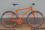 Sport Bike/700c Bicycle/Fixed Gear Bicycle/Sport Bicycle/27