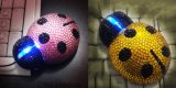 Ladybug Shape Jewelry Mouse (TETC1009)