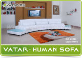 Home Furniture Sofa (S934)