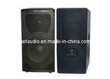 Professional Speaker/PA Audio Speaker (WCN)