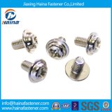 High Precision Stainless Steel Machine Micro Screws for Computer