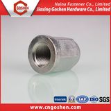 Zinc-Plated Flange Hex Head Long Cap Nut