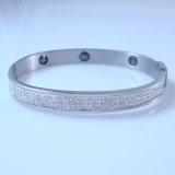 2012 Hot Stainless Steel Bangles (HBNB00007)