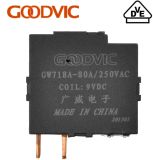 Magnetic Latching Relay (GW718A)