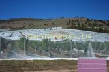 UV Protection Anti Bee Net (ABN040-ABN065)