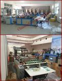 Side Sealing Plastic Bag Machinery (RDL-800)