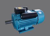 Single Phase Electric Motor (YCL90L)