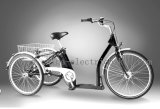 3 Wheel Electric Tricycle (SL-105)