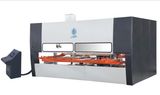 WD-5000 Series Wood Door Intelligent Nc Spray-Painting Machine
