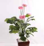 1.2m Artificial Flower Pink Chrysanthemum Plant Bonsai Tree