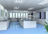 Chemical Laboratory -- Lab Furniture (AUBI-LB-0233)