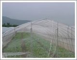 Anti Insect Netting (502515)