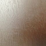 Shoes Leather (DF48)