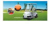 1 Seat Electric Golf Car with CE Certificate