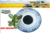 Organic Certificated Flake Organic Fertilizer100% Soluble Humic Acid